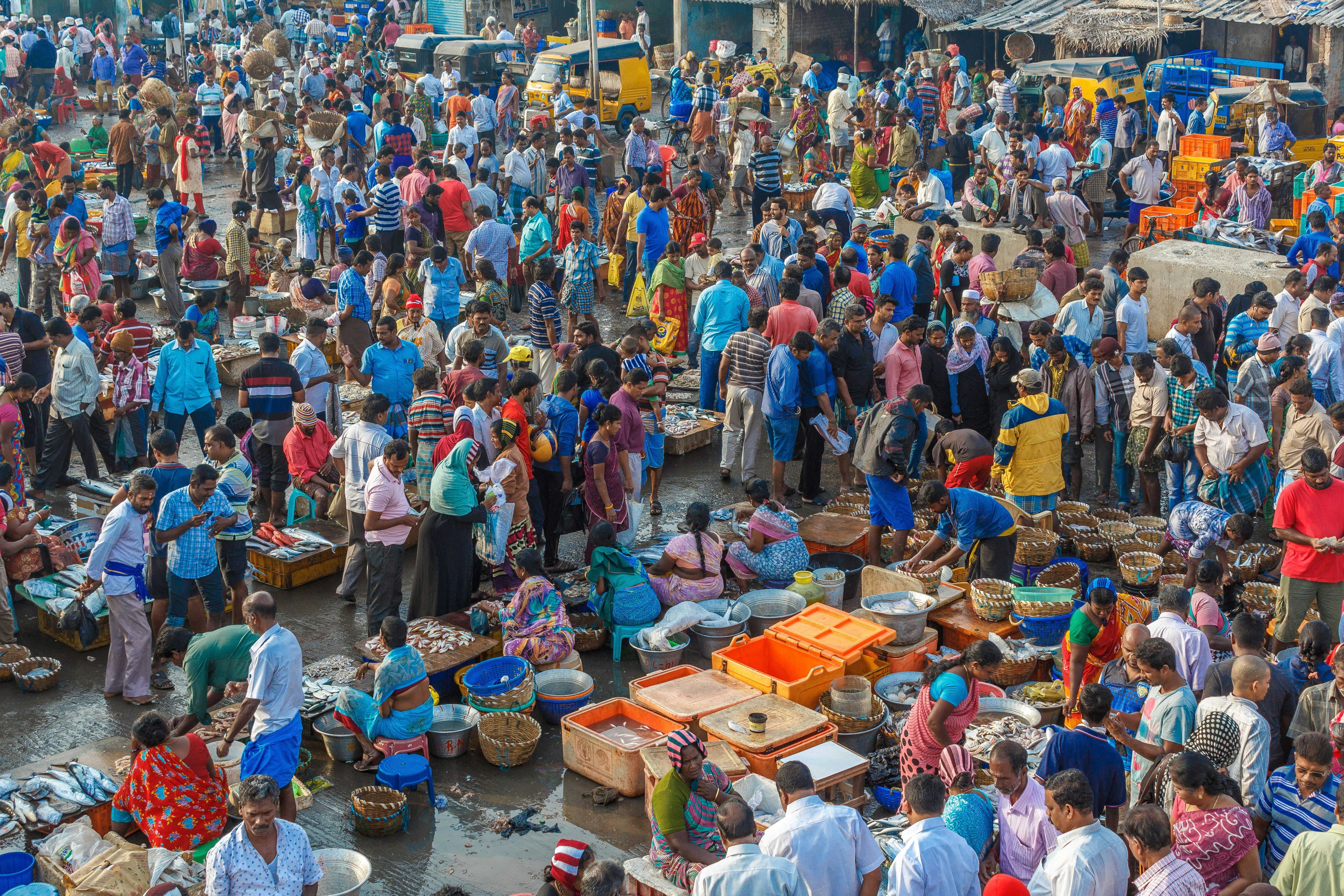 Huge, colourful crowds peruse the stalls at Chennai's fish market. Various varieties of fish are visible on the small tables being sold by vendors.