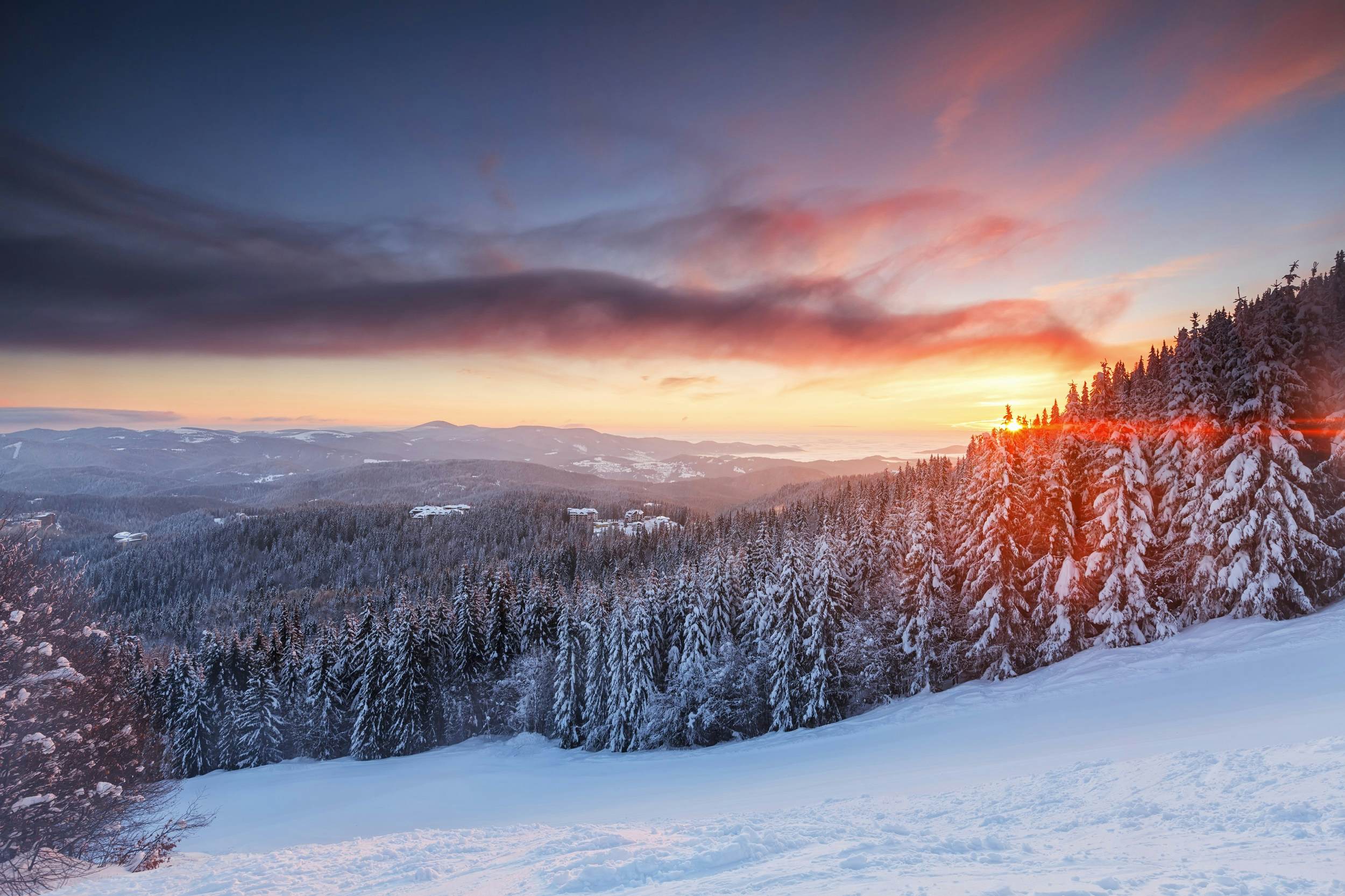 An empty ski slope covered in snow with the sun rising in the distance. A pine forest lines the edge of the slope, with snow-covered trees packed tightly together