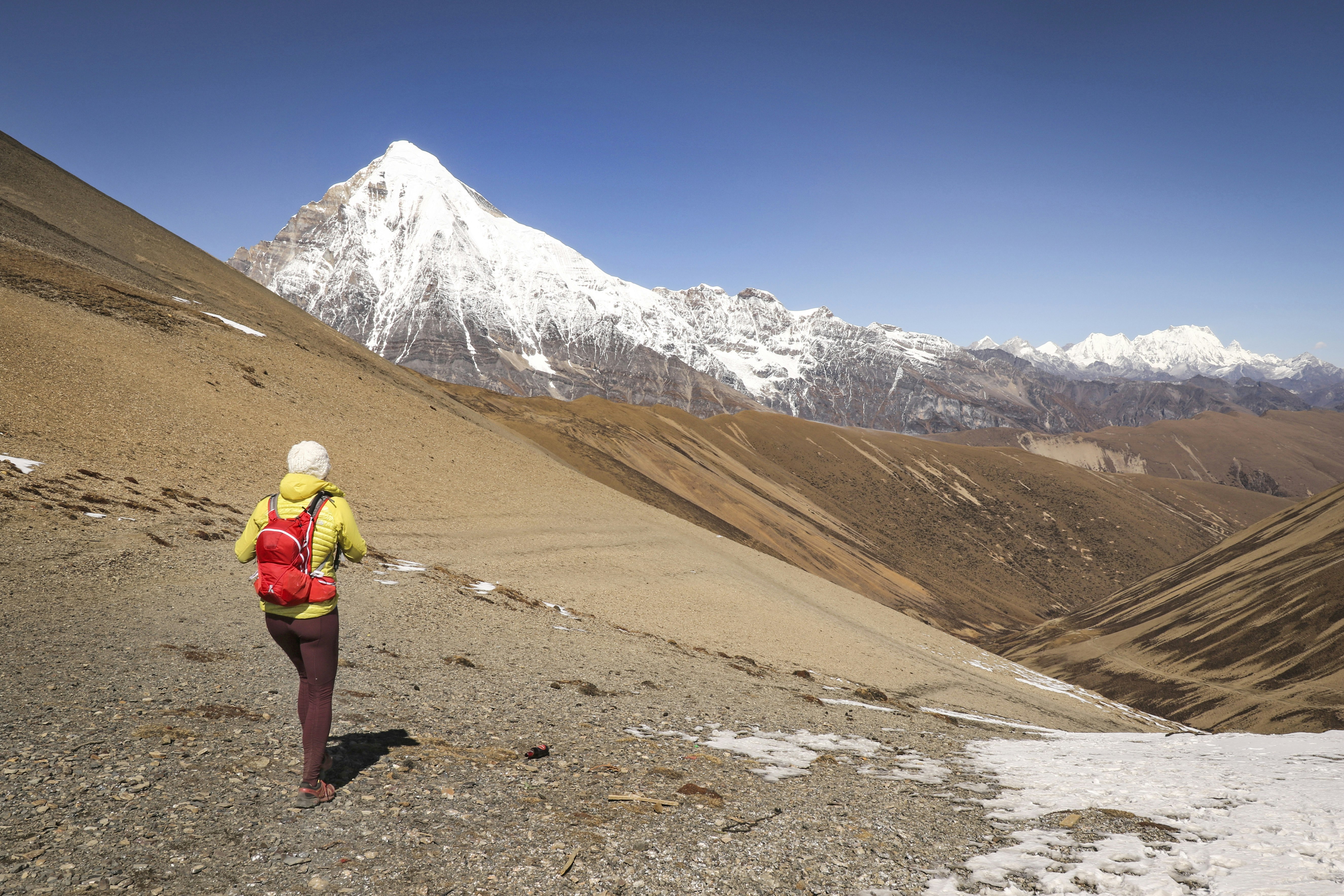 A trekker in purple trowsers and yellow down jacket (and red backpack) hikes on a gravel slope and looks beyond to a snowcapped mountain peak.