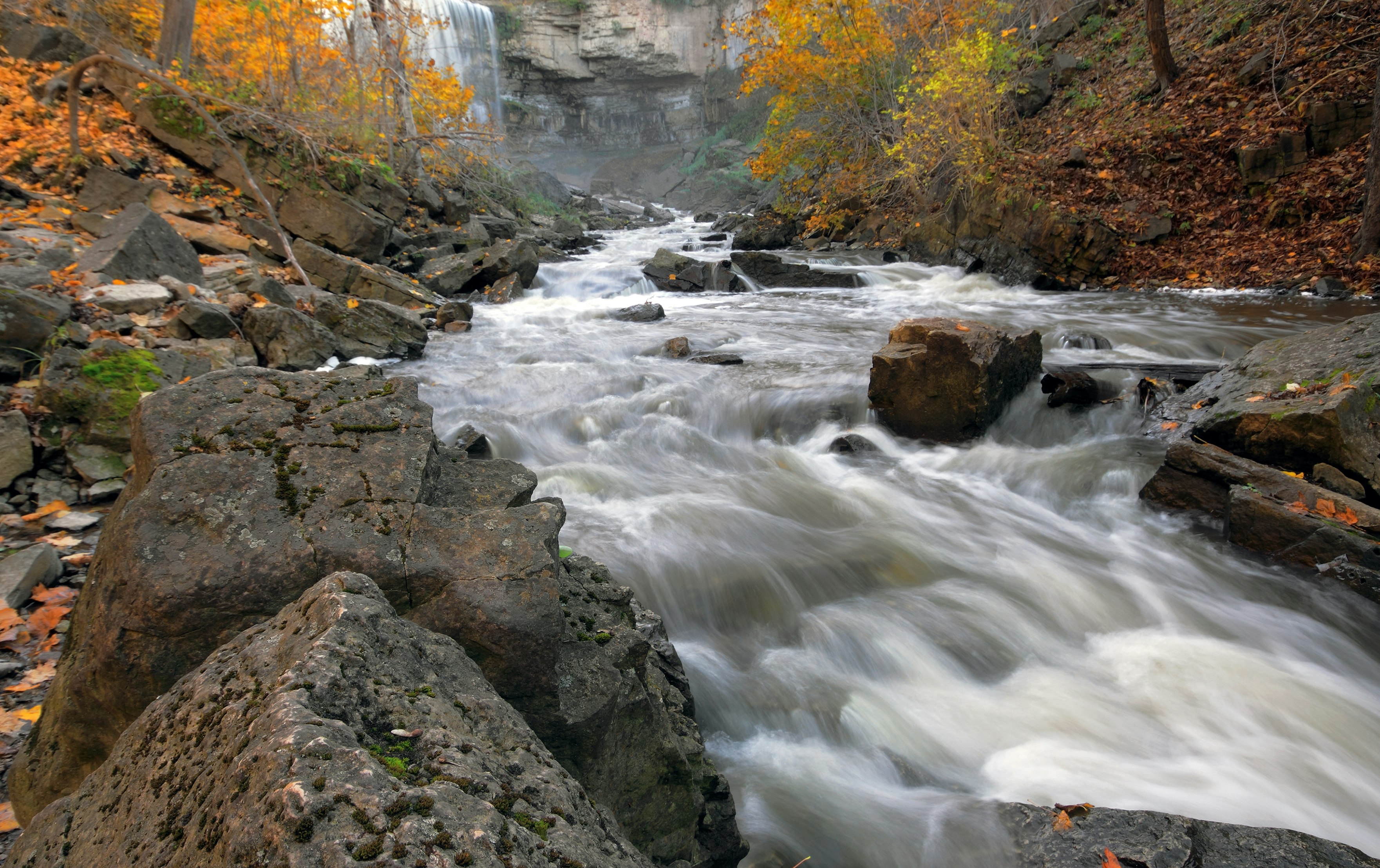 Webster's Falls waterfall runs into a river surrounded by fall foliage in Spencer Gorge Conservation Area, Canada