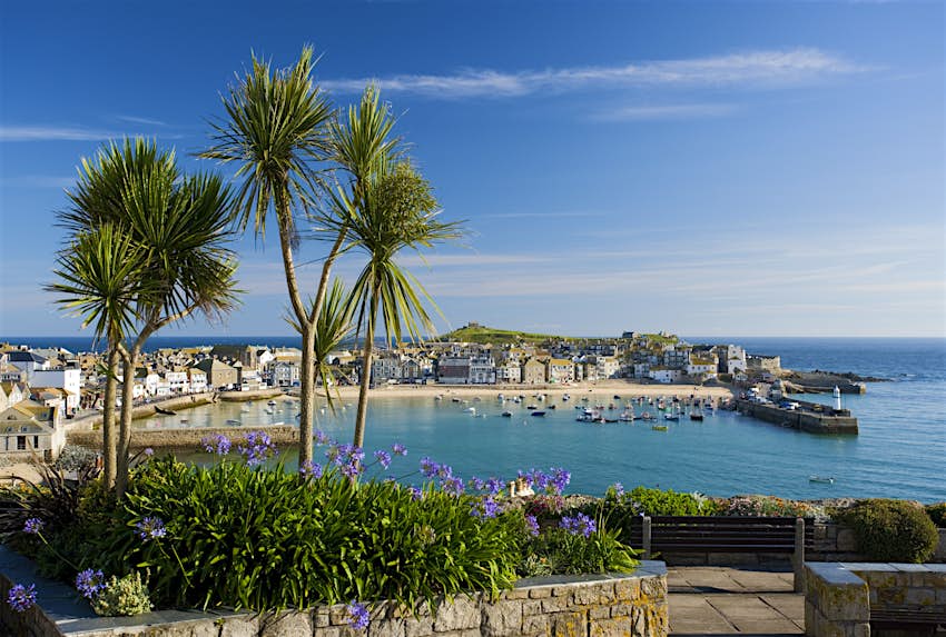 An elevated view looking down towards the harbour of St Ives, Cornwall, on a sunny day; tall palm trees stand in the foreground.