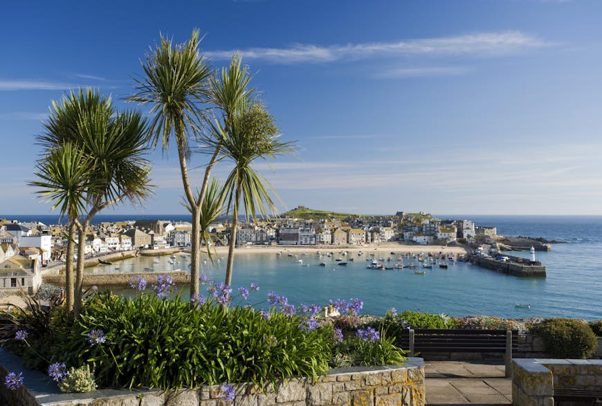 An elevated view looking down towards the harbour of St Ives, Cornwall, on a sunny day; tall palm trees stand in the foreground.