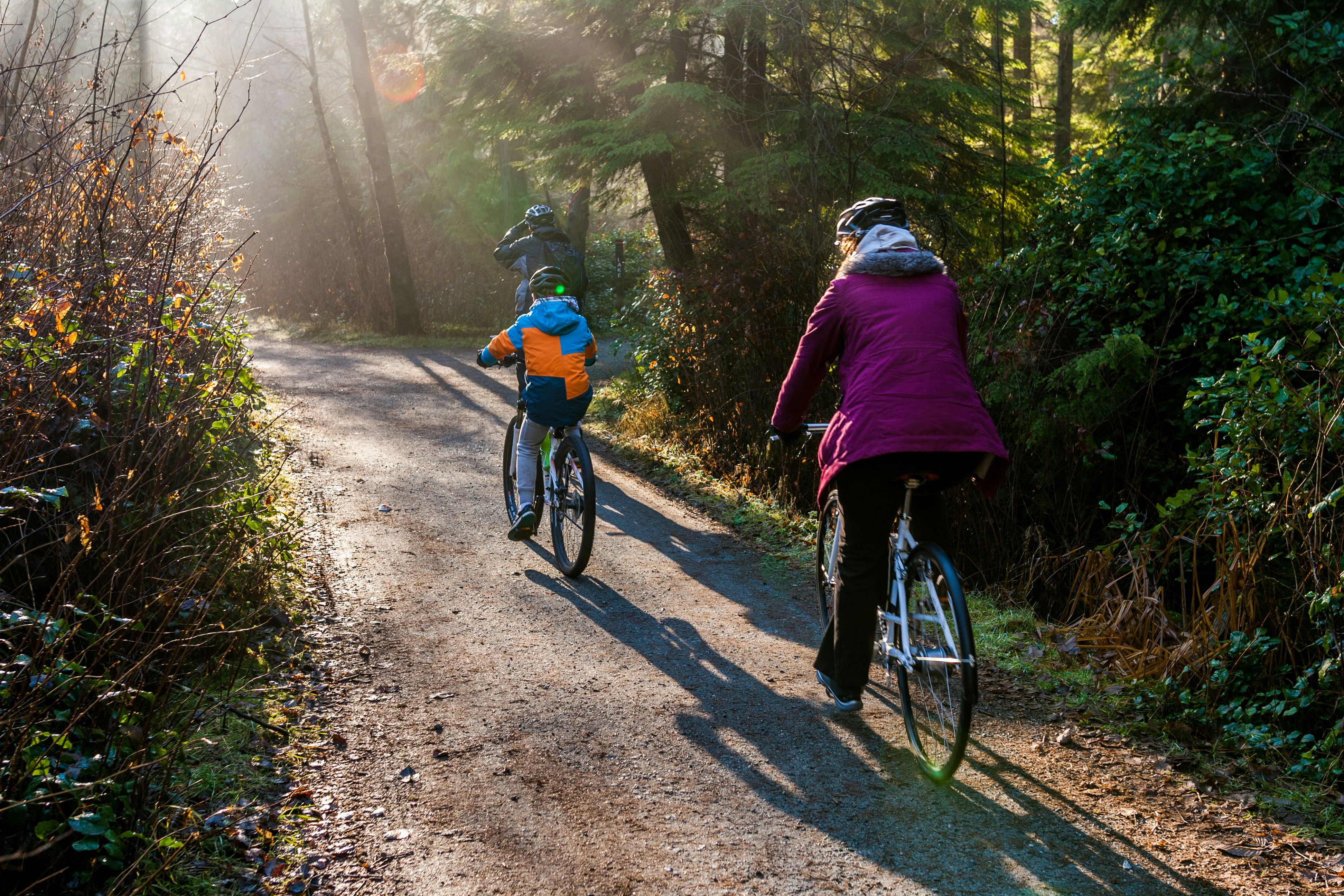 An adult and child cycle through a forested park