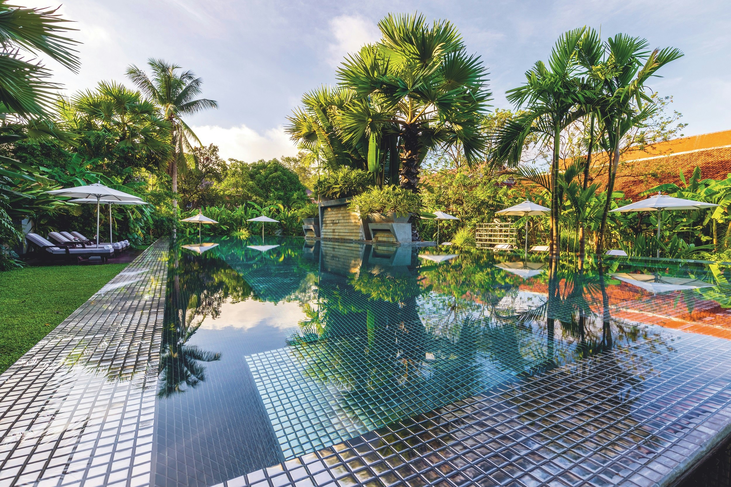 A swimming pool set in a green garden lined with palm trees