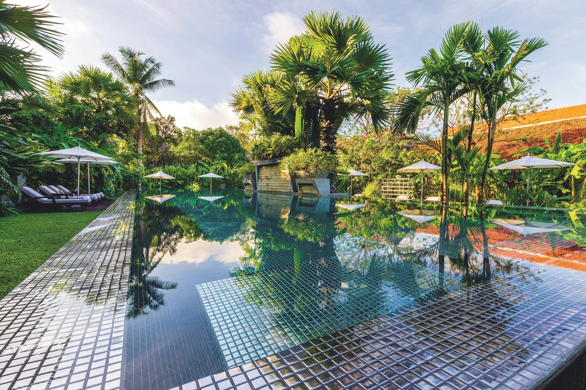 A swimming pool set in a green garden lined with palm trees