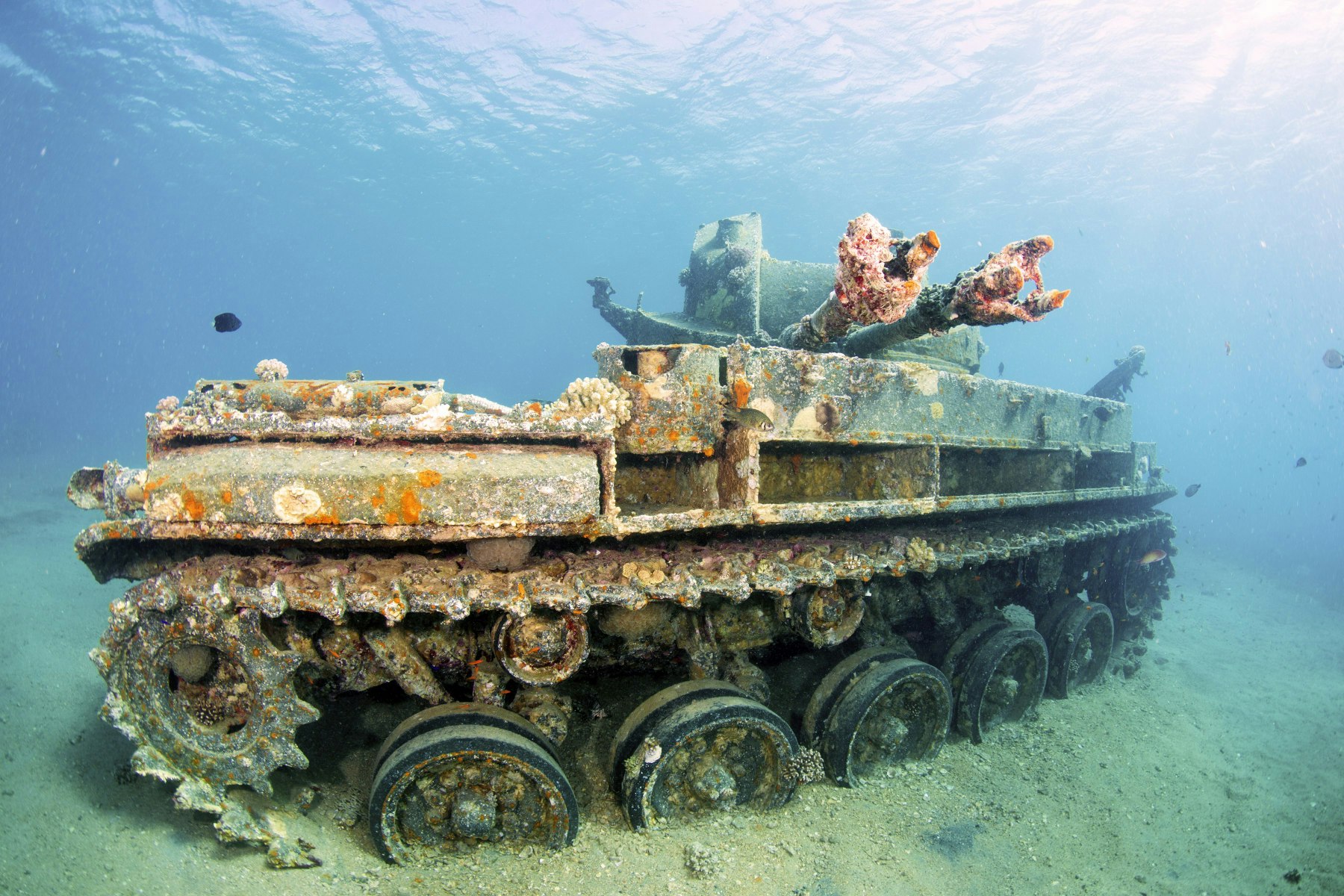 The wreck of a sunken M42 Duster American Tank
