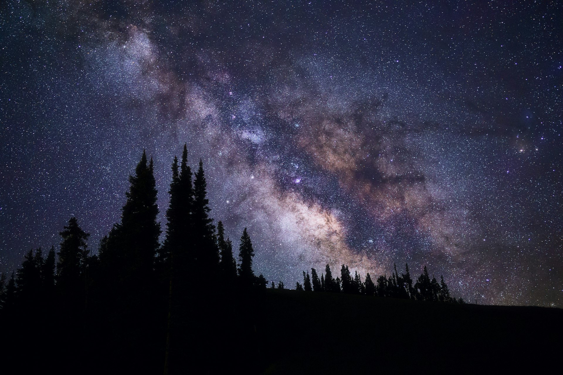 Towering conifers are contrasted in deep black against a star-strewn blue and purple sky with a clear view of the arm of the Milky Way in the center of the frame