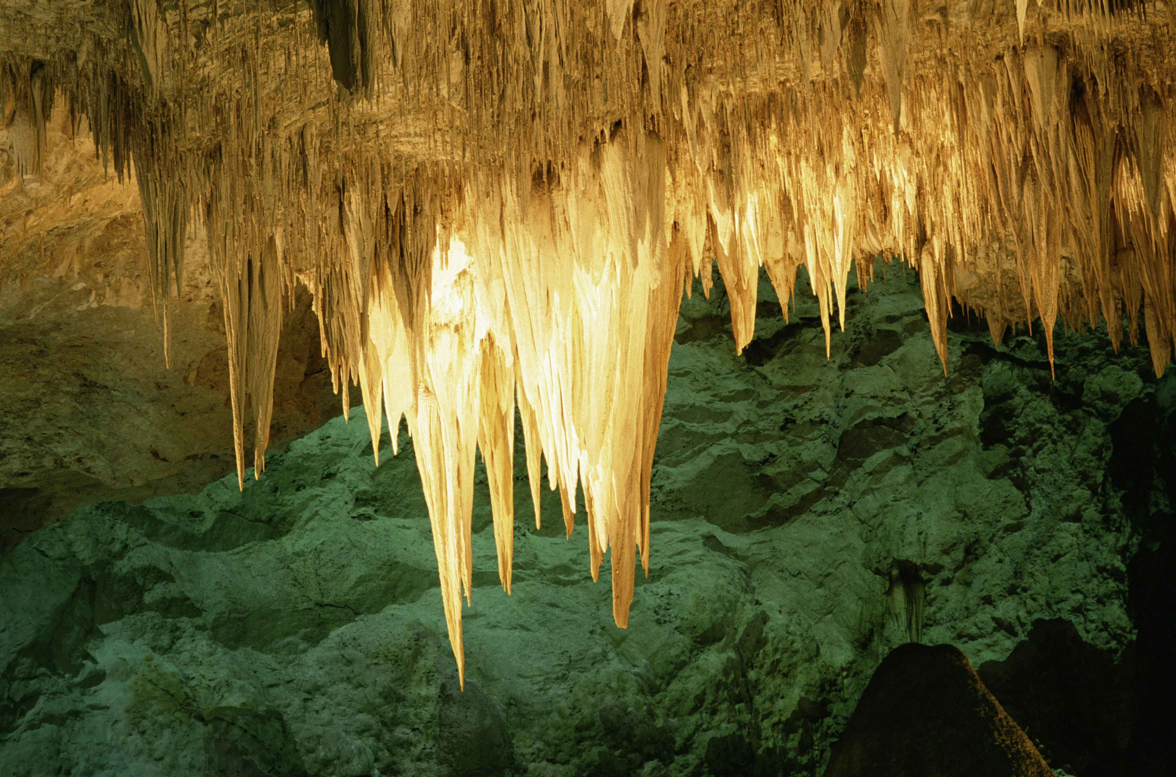 the Chandelier stalactite hangs high in Carlsbad Caverns National Prk