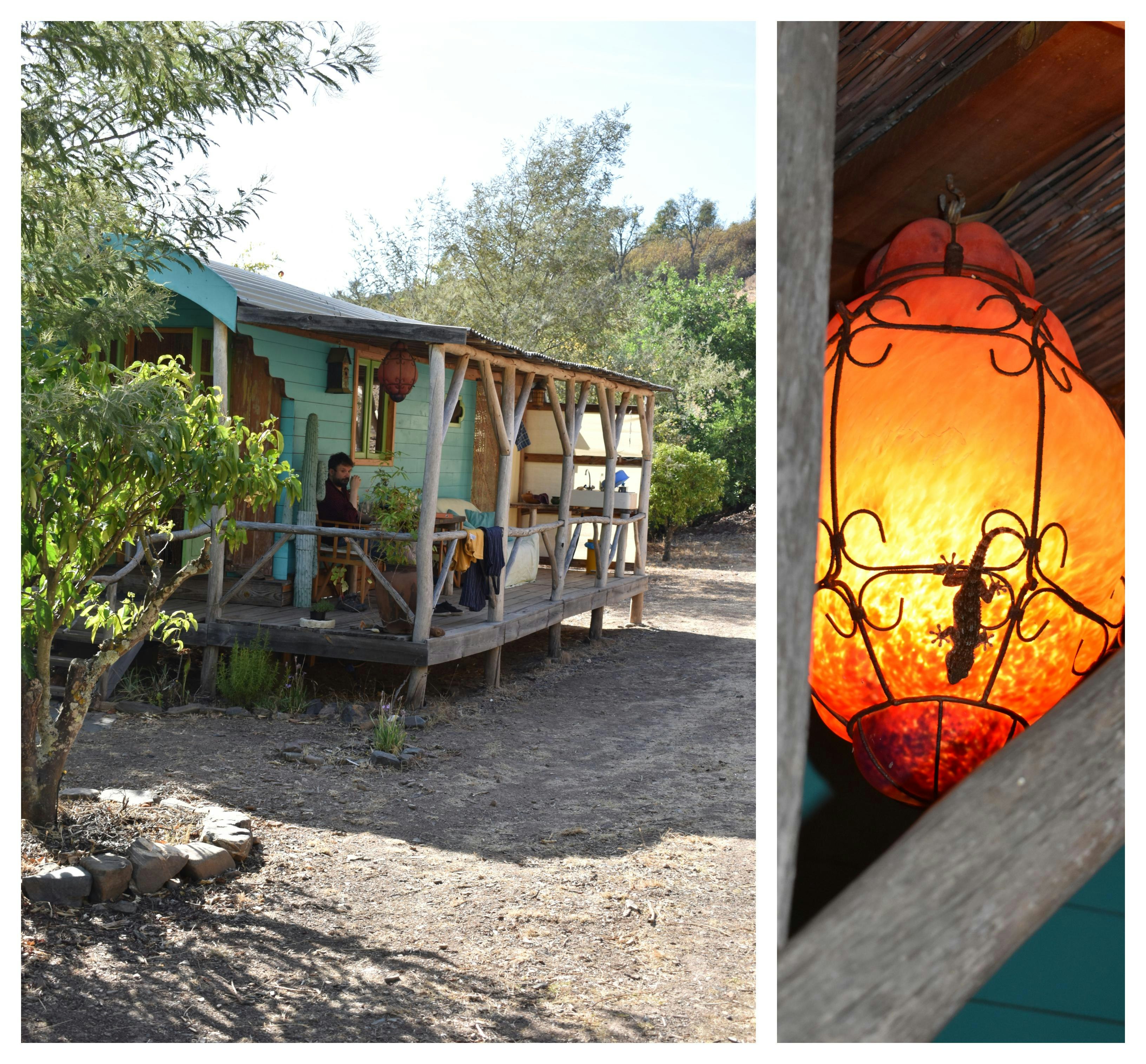 On the left a small blue house in the middle of dry ground and green trees. A man sits on the porch. On the right a close up of a gecko on a brightly lit orange lampshade