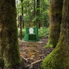 toilet in a mossy forest.jpg