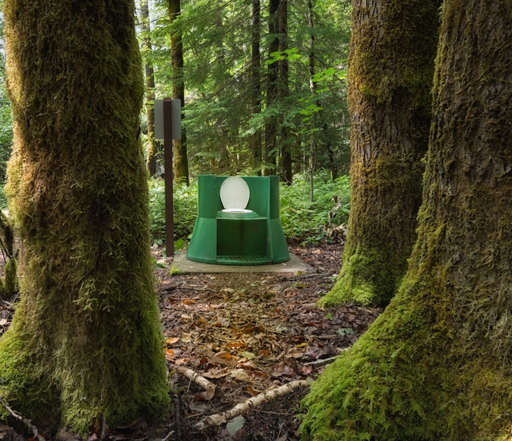 toilet in a mossy forest.jpg