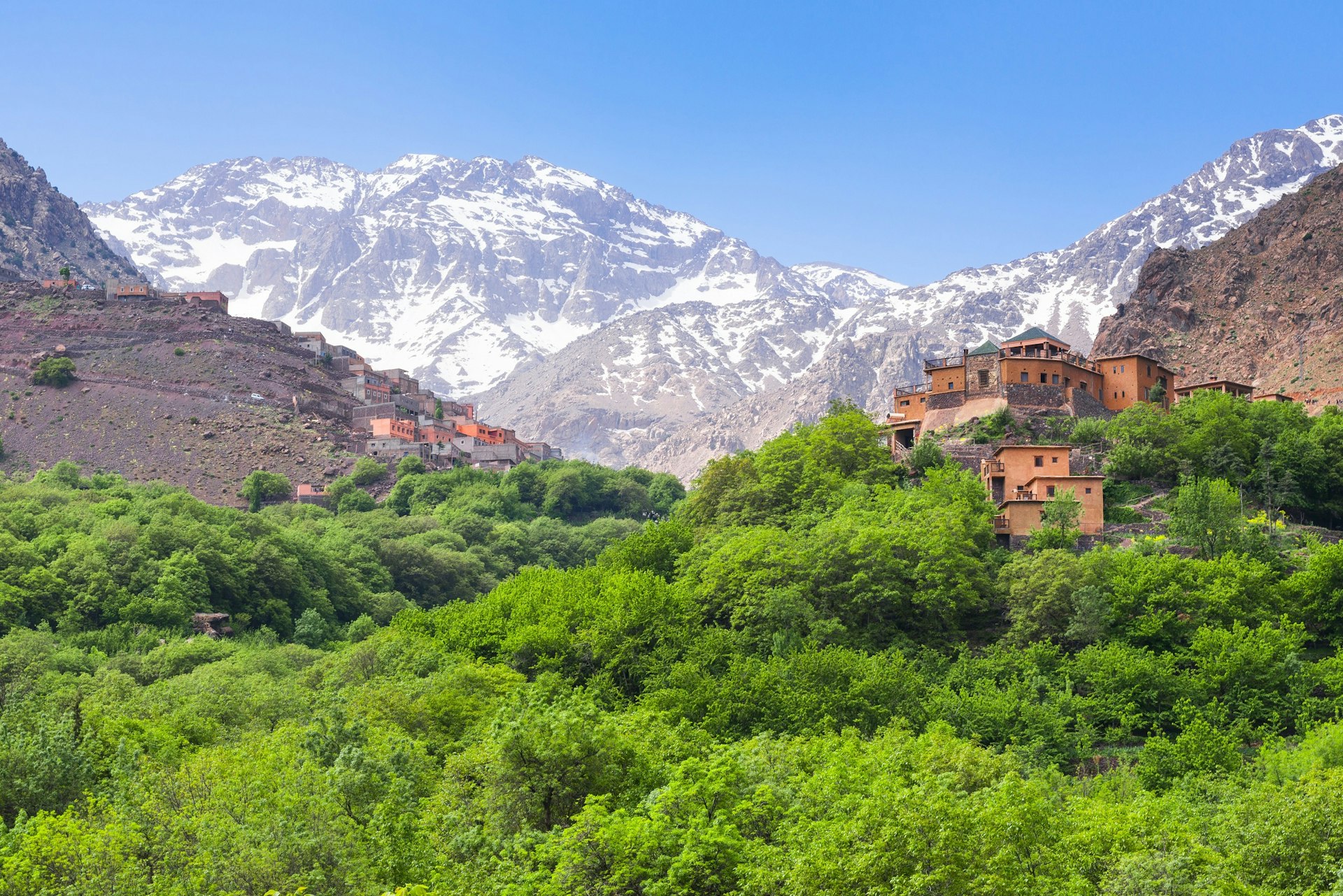 Traditional clay-brick houses stand atop a forested slope and along a rocky ridge, with the snow-capped summit of Toubkal towering in the background.