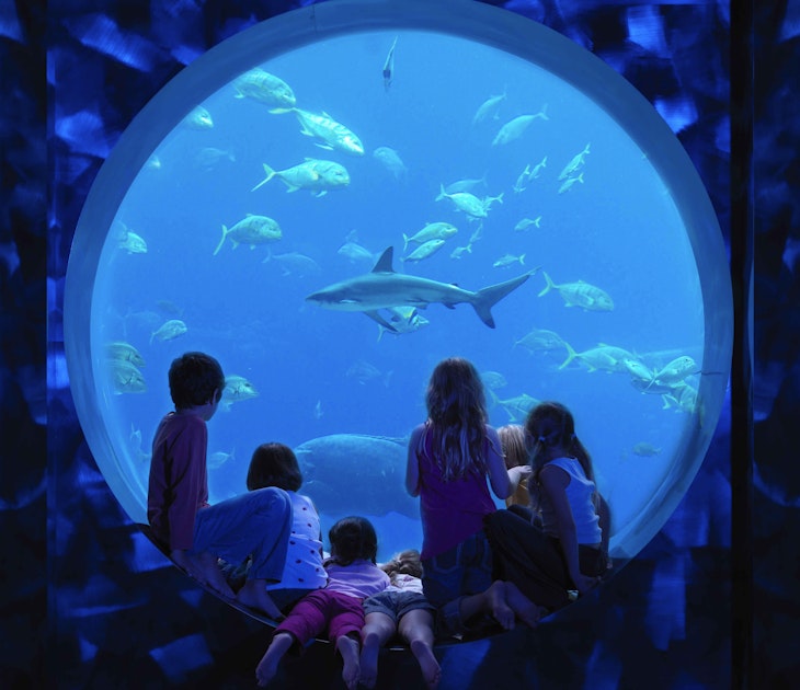 underwater theatre.jpeg