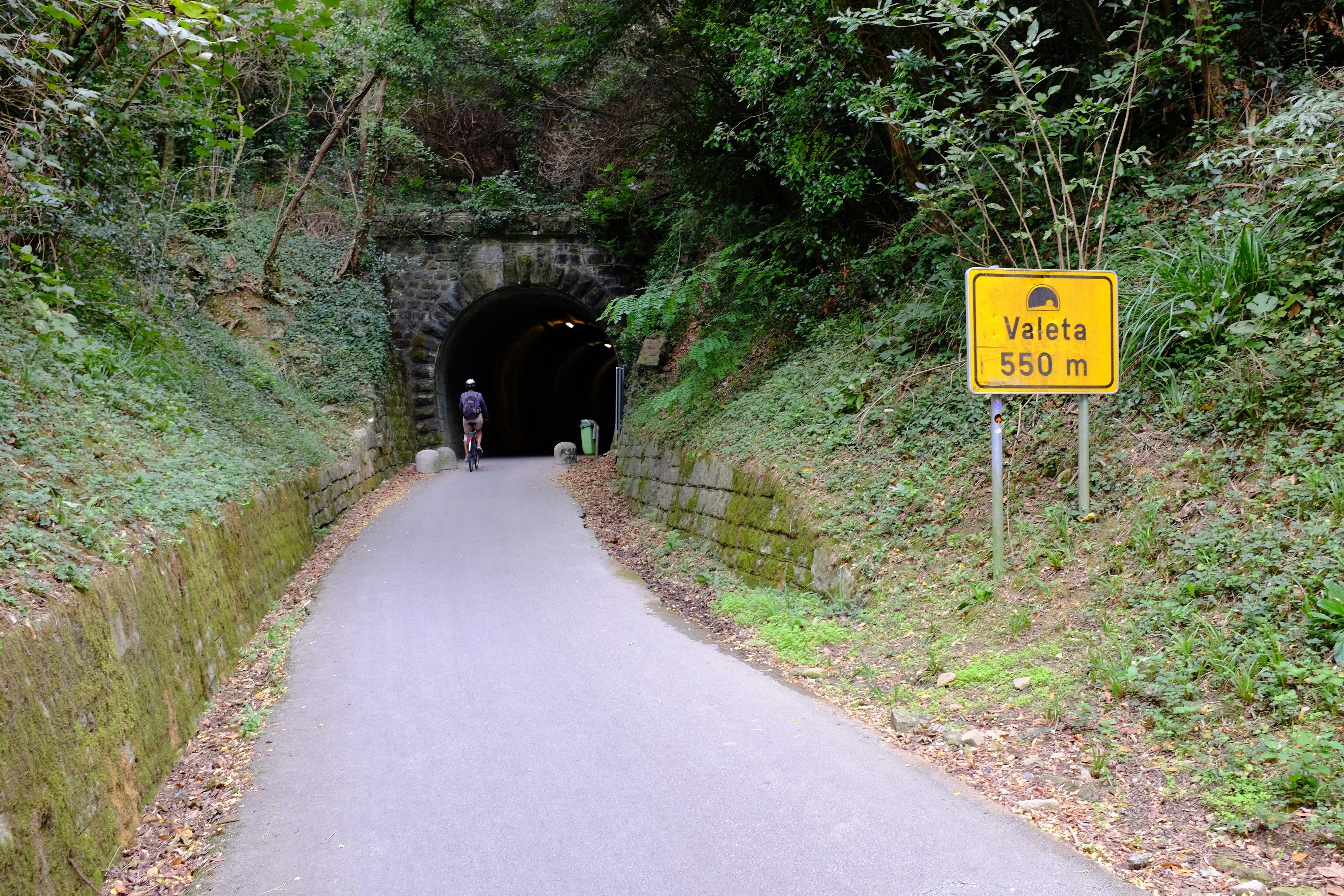 A cyclist enters the Velta tunnel, the longest on the Parenzana Trail. A paved road cuts into the hillside held back by mossy stone retaining walls on either side and into a stone arch at the tunnel mouth. A yellow sign reads Velta 550 m with an illustration of a tunnel