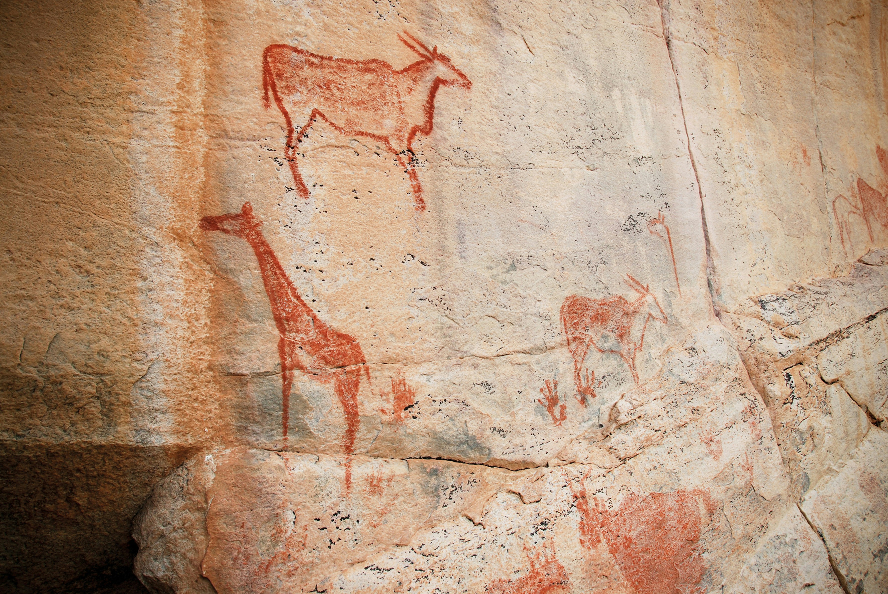 Red painted rock art shows a giraffe, a wildebeest, and other animals scattered on a pale buff rock in Botswana