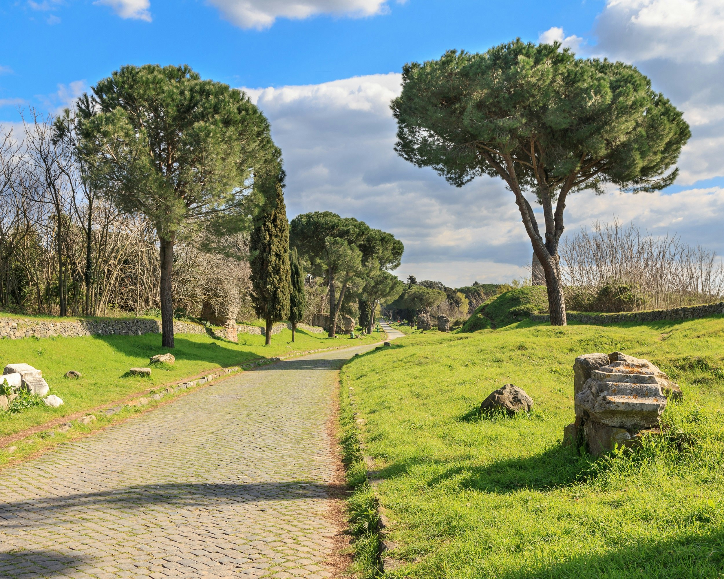 A paved, tree-lined path leading off into the distance.