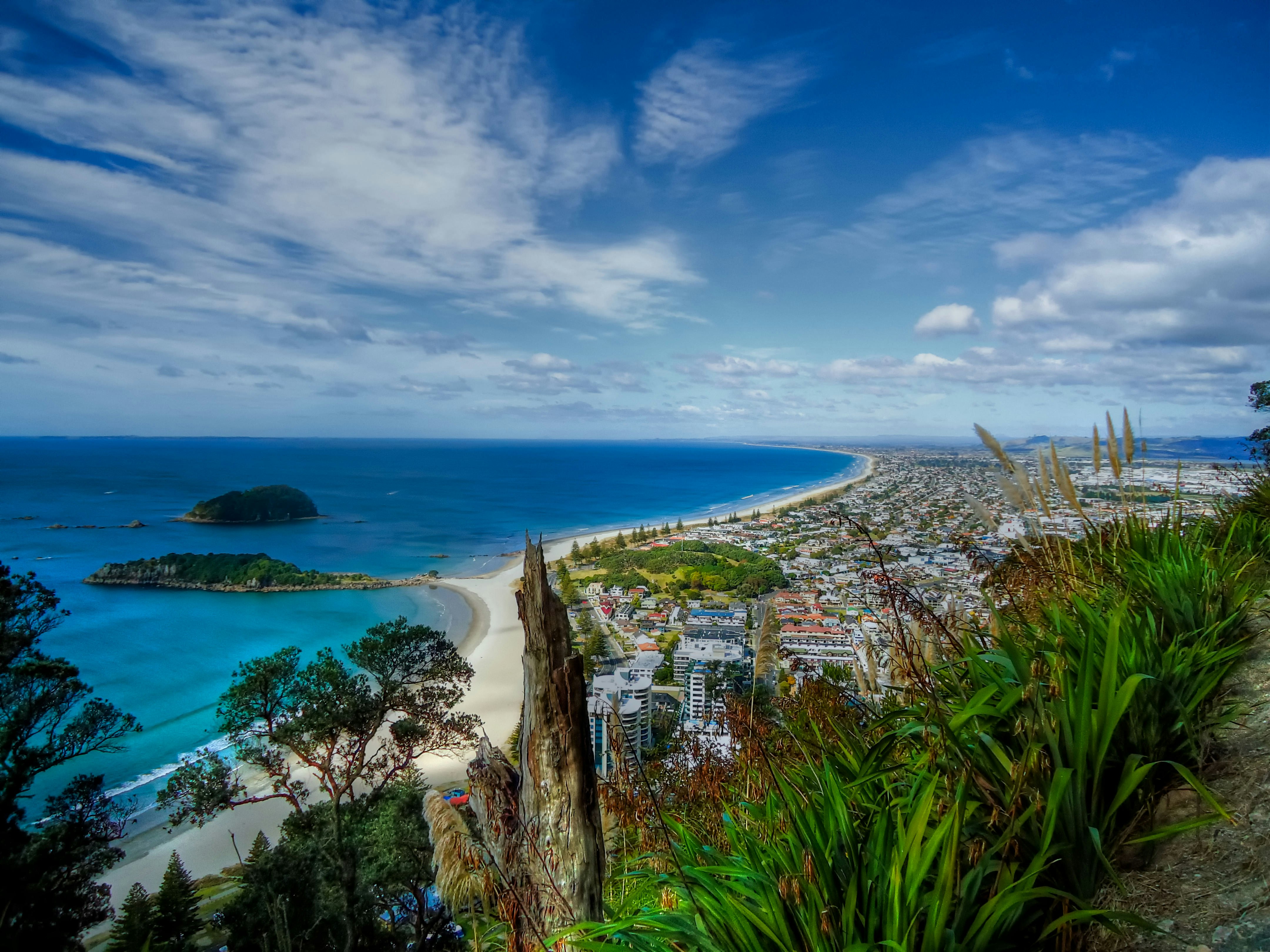 A view from the top of Mt Maunganui in Tauranga, New Zealand; the city can be seen below, fringed by a sandy beach leading to a blue-green sea.