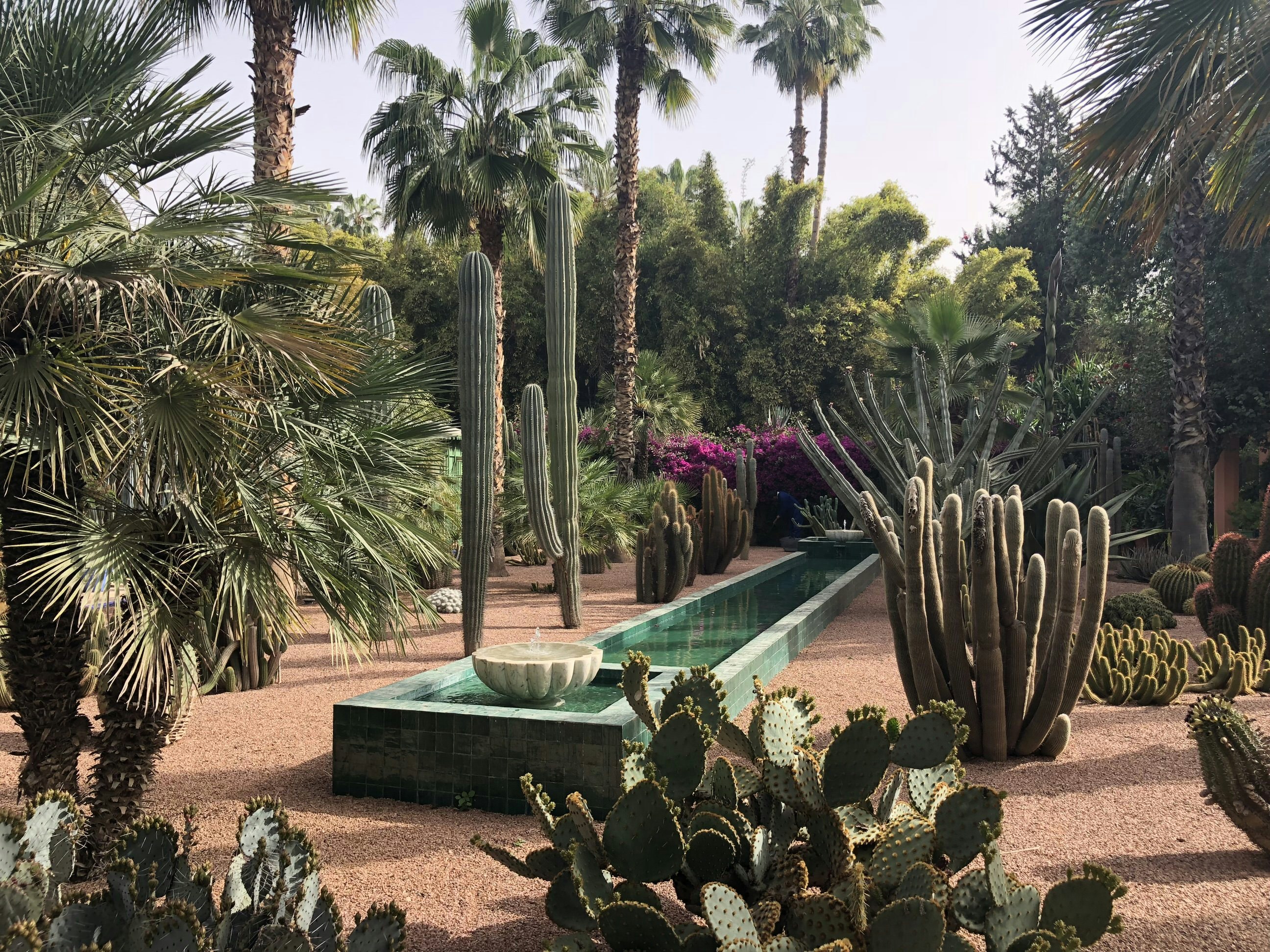 A long, ornate pool/fountain made from aquamarine-coloured tiles sits in pink-hued gravels and is surrounded by palms and cacti.