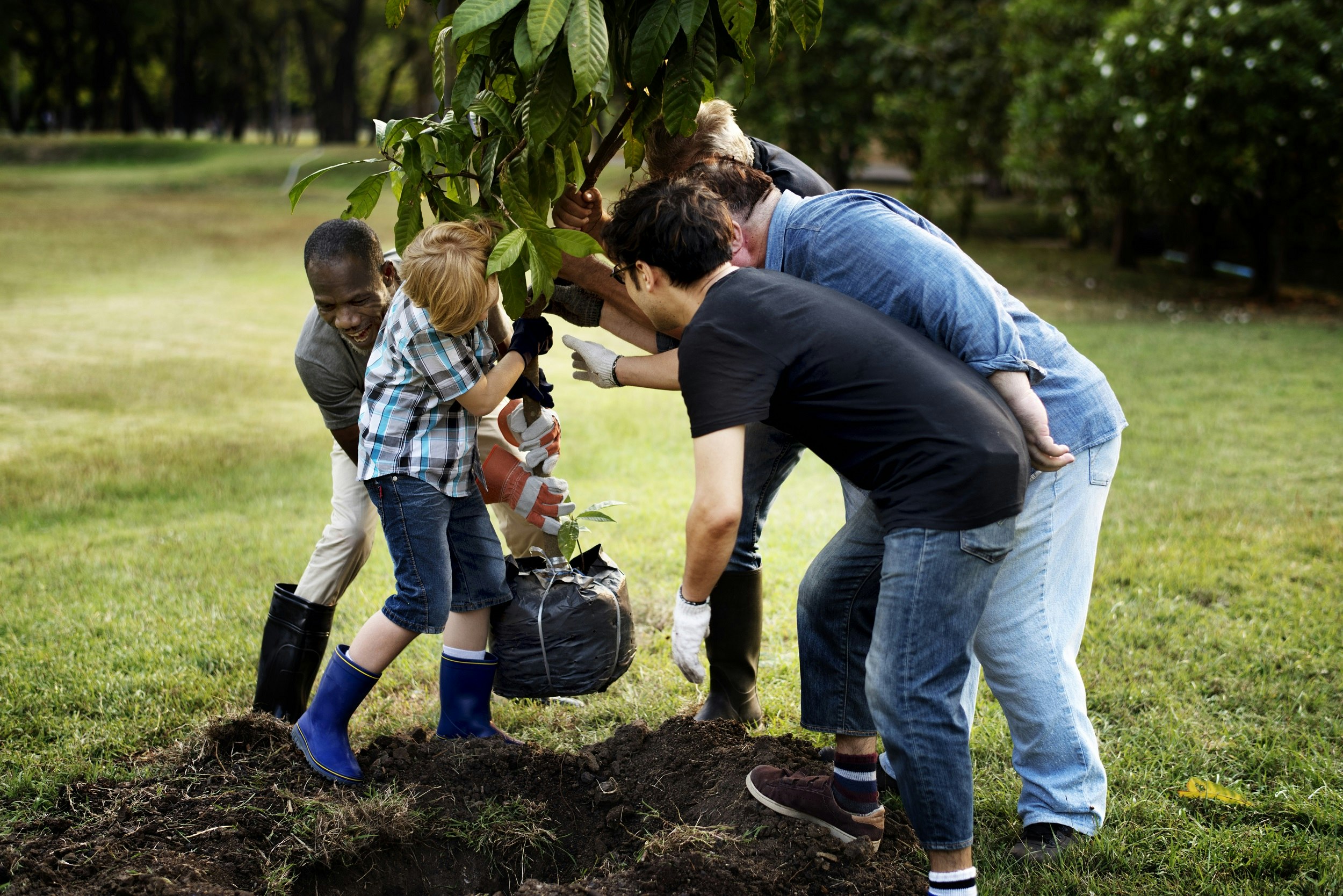 A group of four adults and a child lift a small tree towards a hole