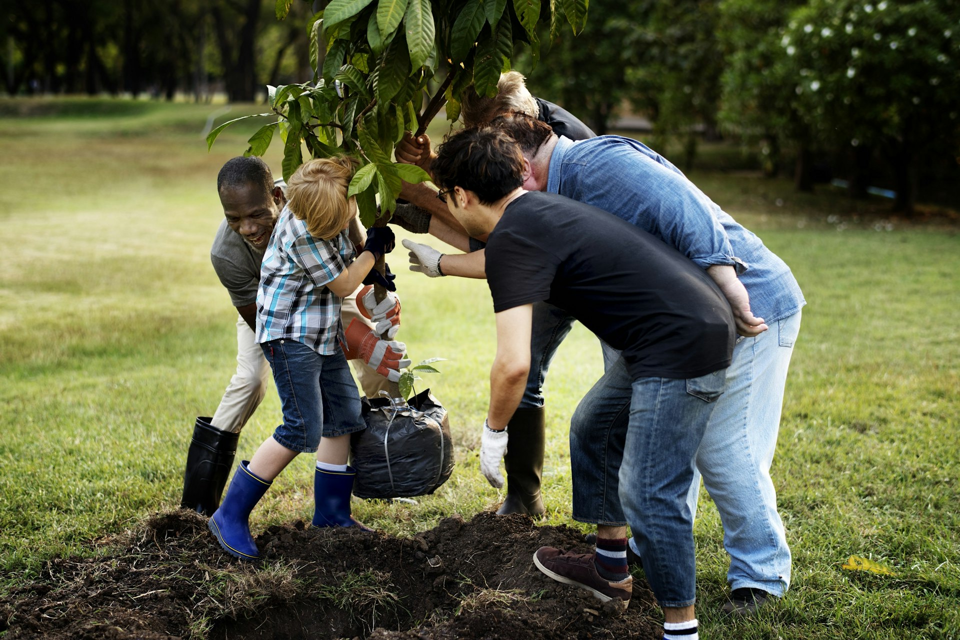 A group of four adults and a child lift a small tree towards a hole