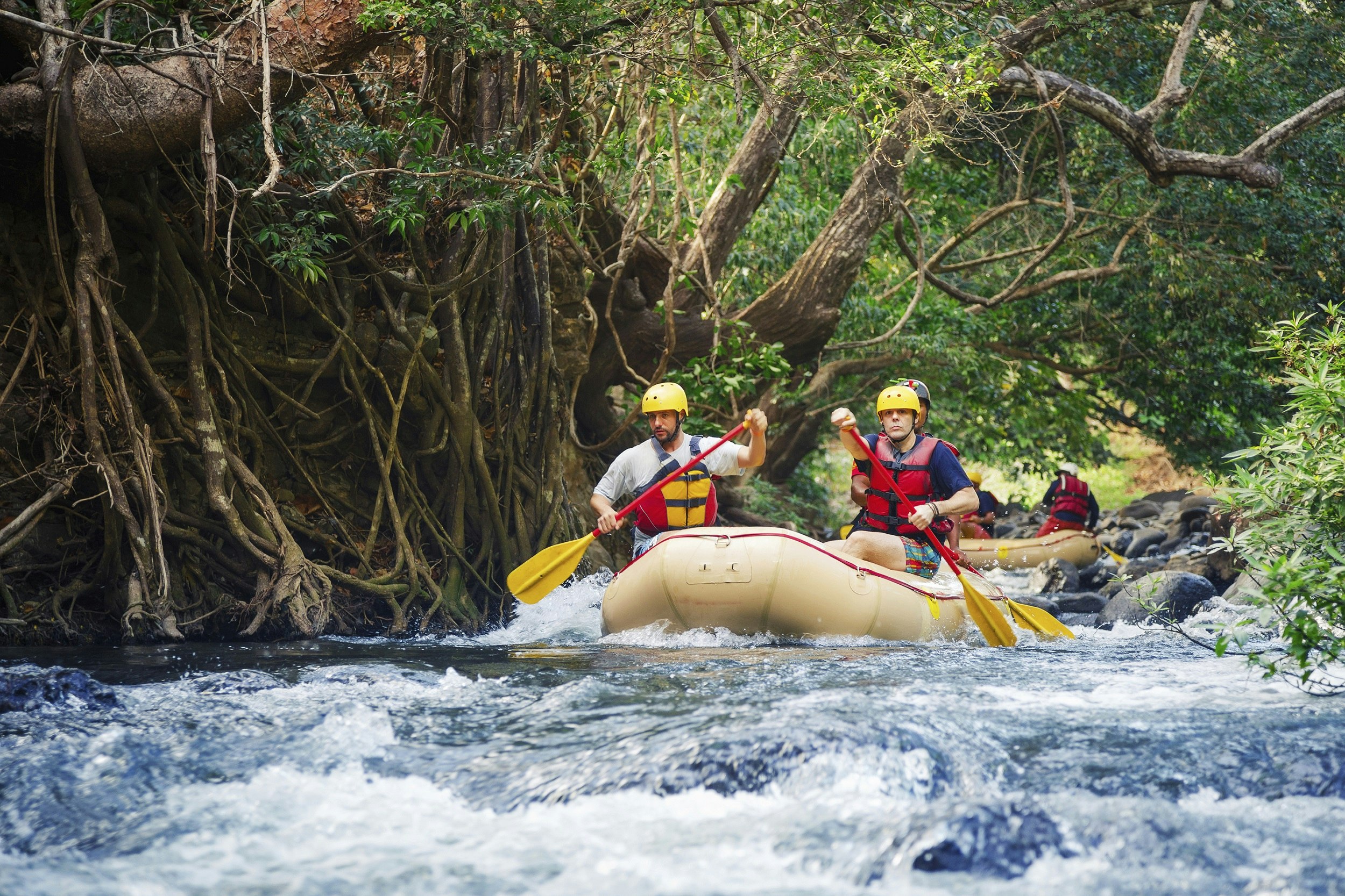 Three people in a whitewater raft navigate a section of river between rocks and a riverbank covered in vines and tree roots.