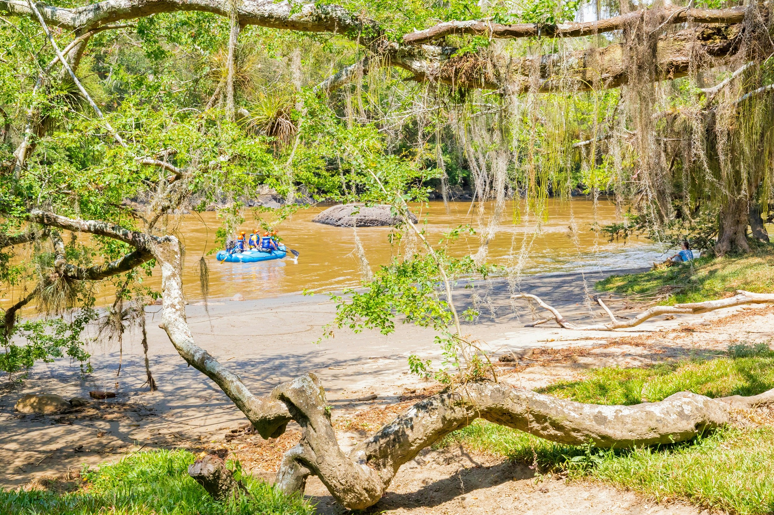 Shot through trees, a whitewater raft with five paddlers is seen making its way down the muddy Rio Fonce near San Gil.