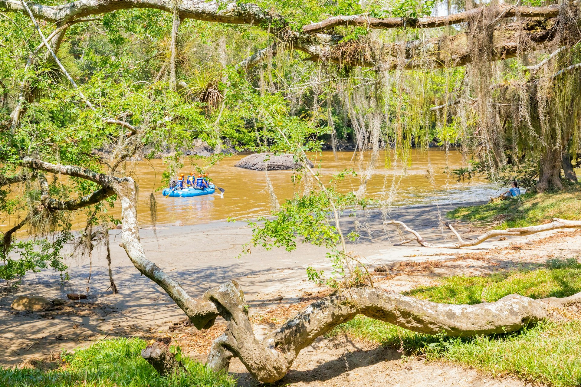 Shot through trees, a whitewater raft with five paddlers is seen making its way down the muddy Rio Fonce near San Gil.