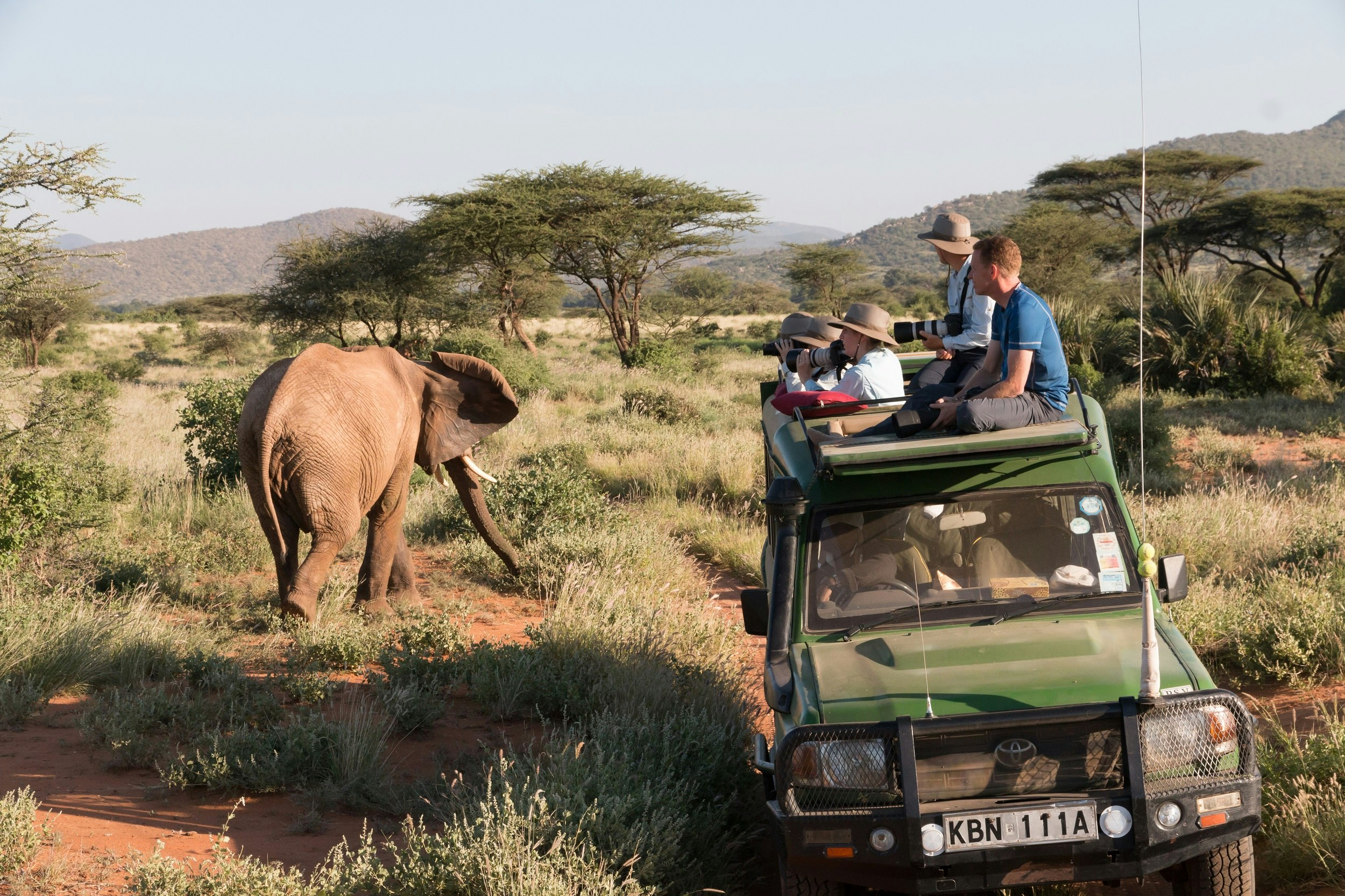 A green Toyota open-topped 4WD truck sits next to an elephant; four tourists are poking out of the open top, three of them holding large cameras. The scene is open grassland with acacia trees.