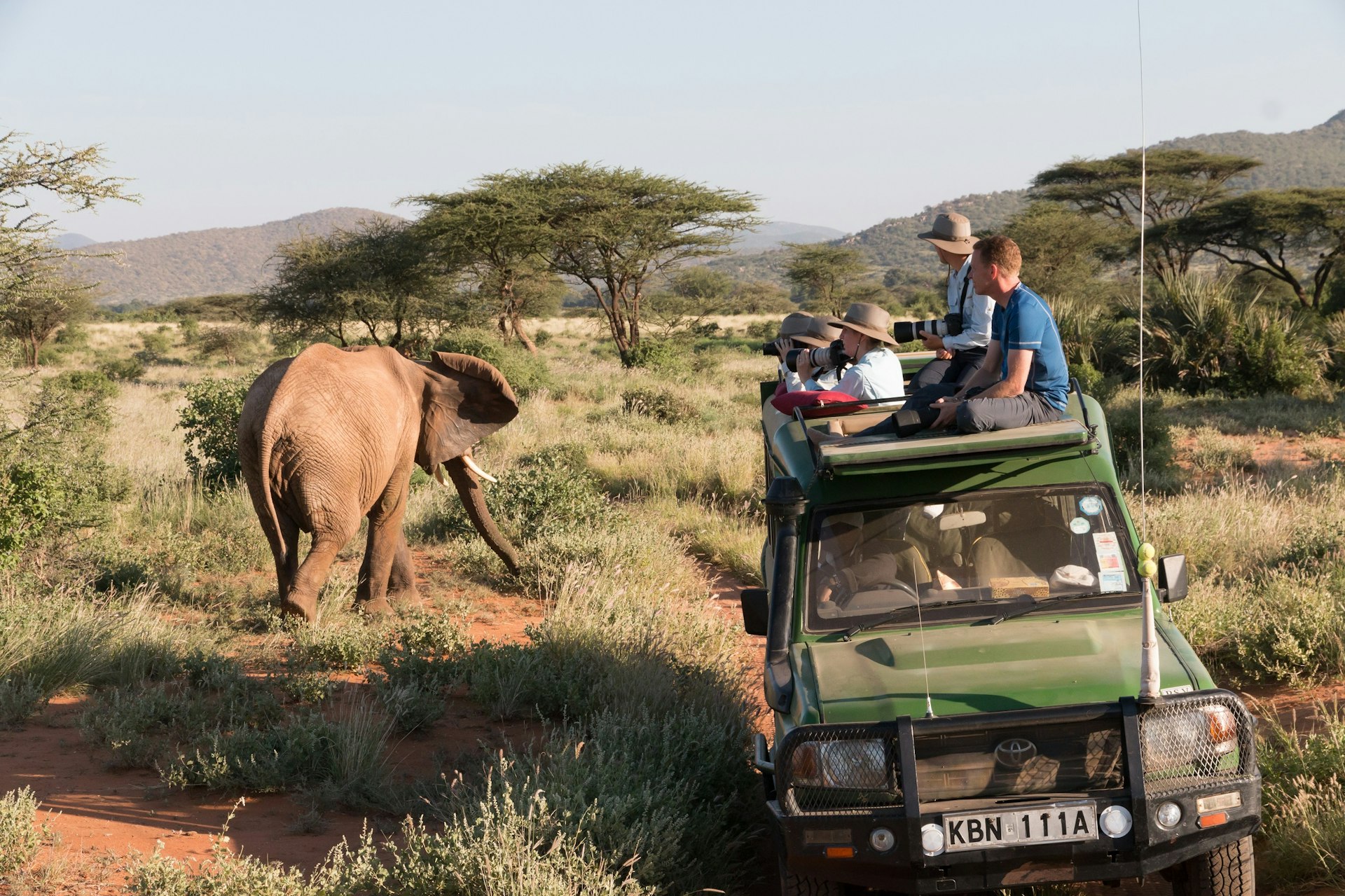 A green Toyota open-topped 4WD truck sits next to an elephant; four tourists are poking out of the open top, three of them holding large cameras. The scene is open grassland with acacia trees.