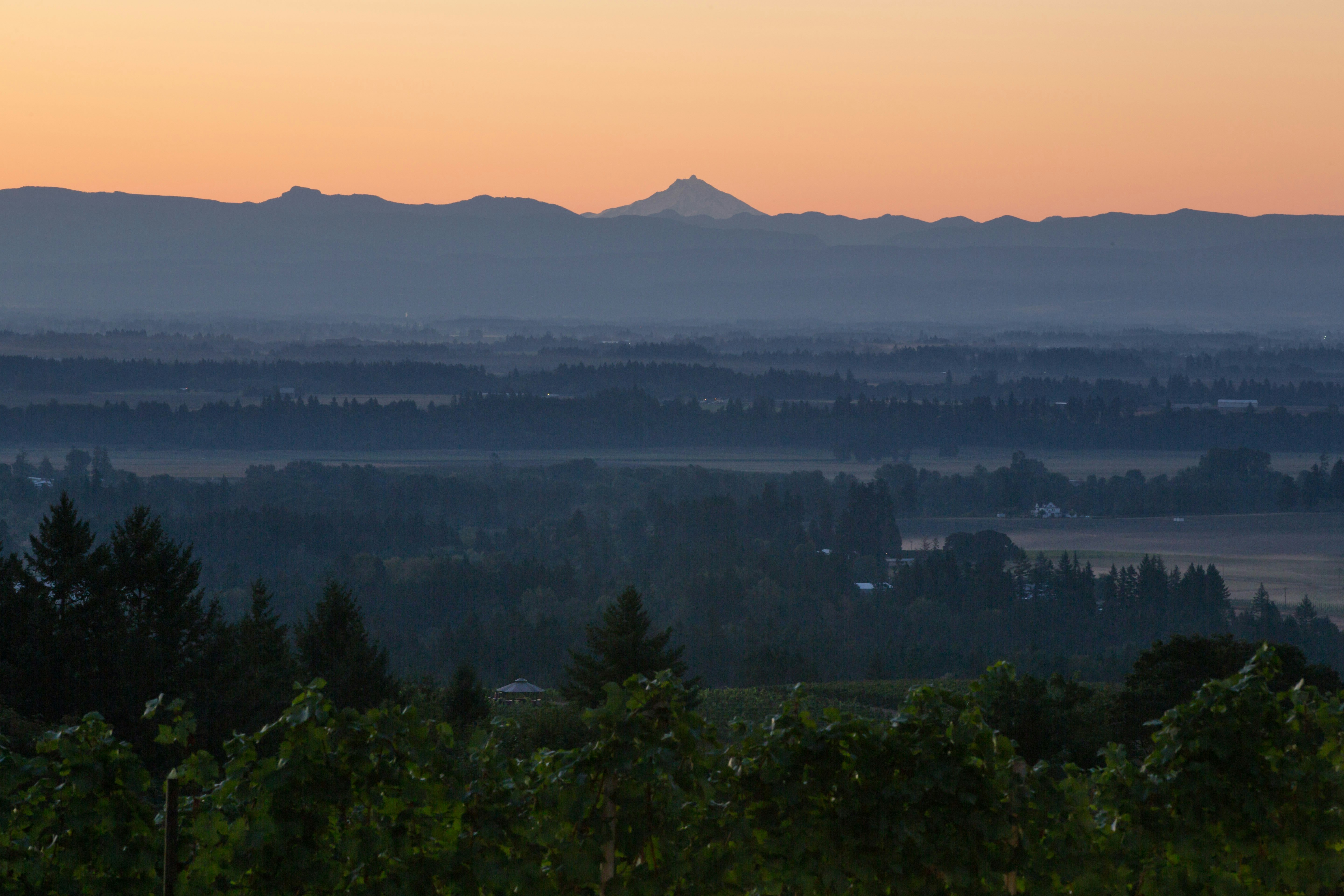 A view of the Cascade Range from the top of a hill near Oregon's Willamette Valley Wine Country, the blue mountains contrasting with the sherbet orange sky