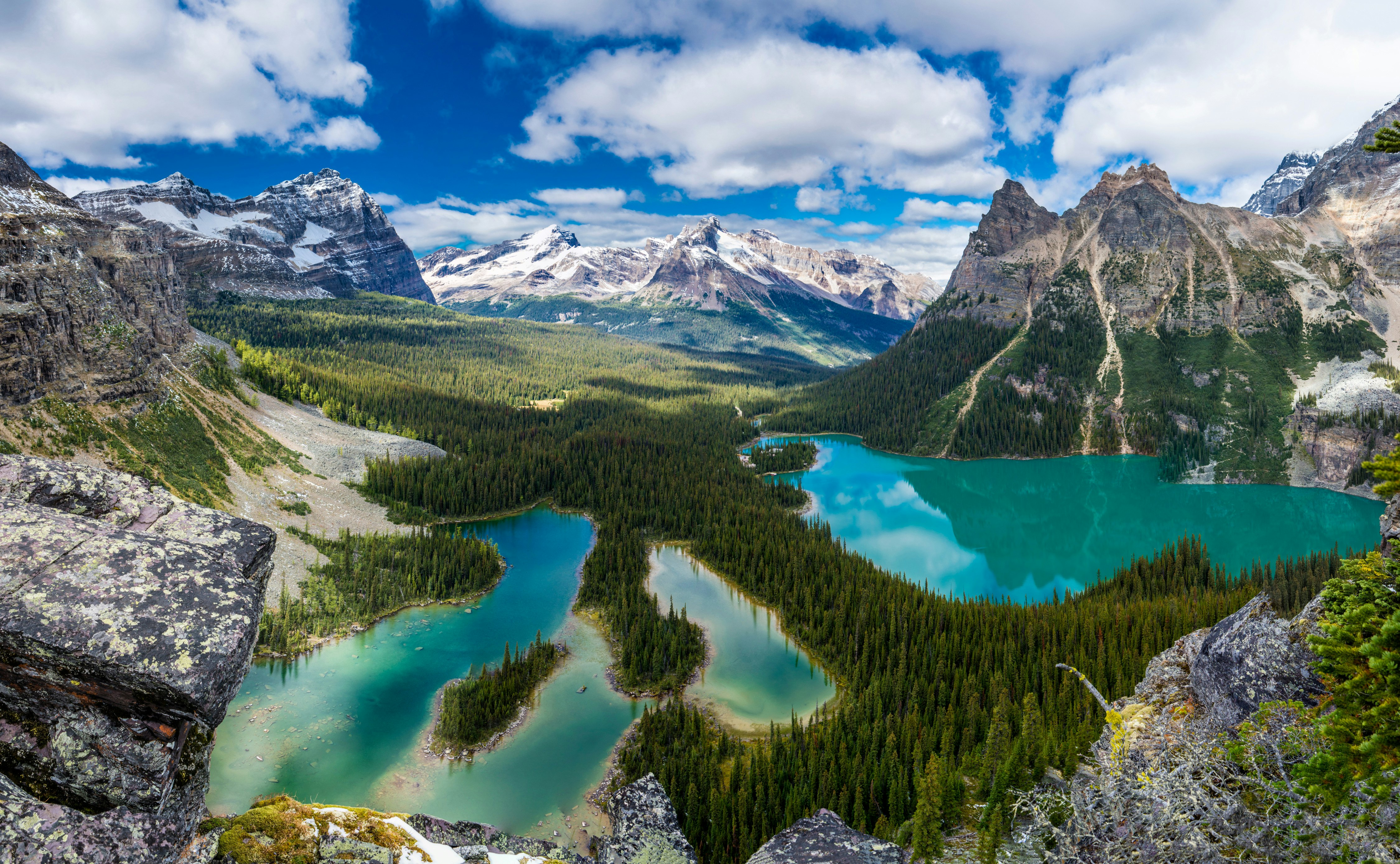 A view of Lake O'Hara in YoHo national park. It's located in a valley, surrounded by mountains and tall, larch trees.. 