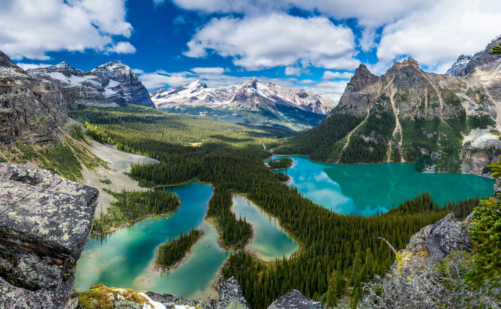 A view of Lake O'Hara in YoHo national park. It's located in a valley, surrounded by mountains and tall, larch trees.. 