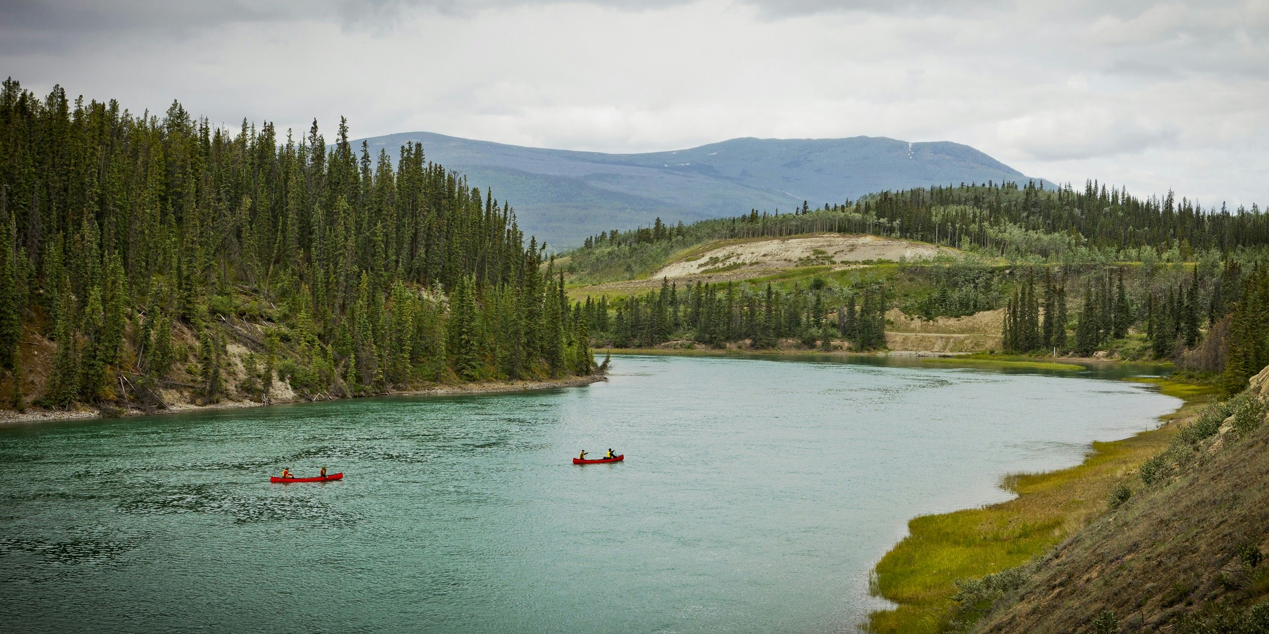 Shot from high on the Yukon River's bank, two canoes are seen navigating a large bend in the river; both banks are covered in stands of trees, with rollling hills in the distance