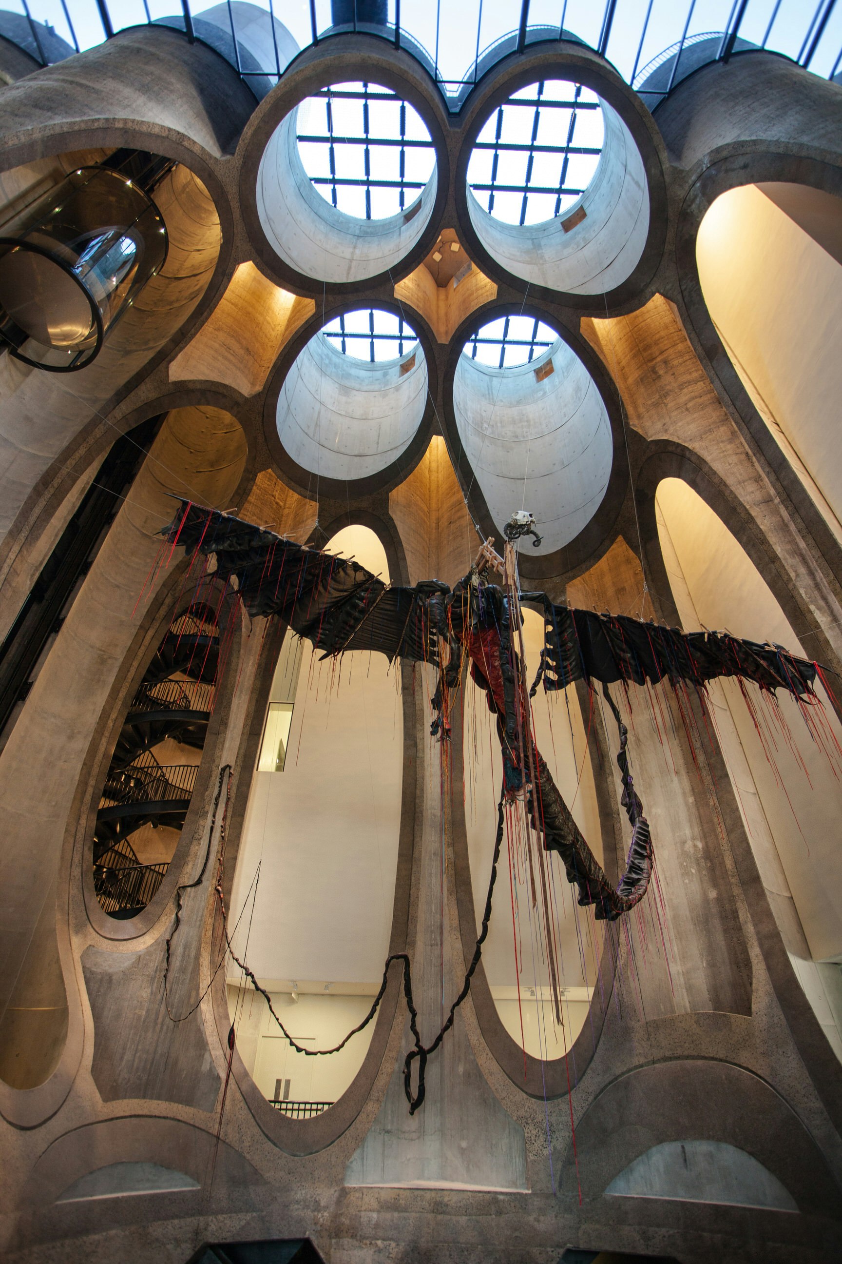 Ett pterodaktylliknande konstverk hänger i ett enormt atrium i Zeitz MOCAA;  atriumet har huggis från en stapel av kolumnformade silos, där var och en har skurits bort på olika sätt (vissa visas som cirklar som flyter ovanför, medan andra bara har fått delar av sina sidor borttagna, som liknar ovala fönster).