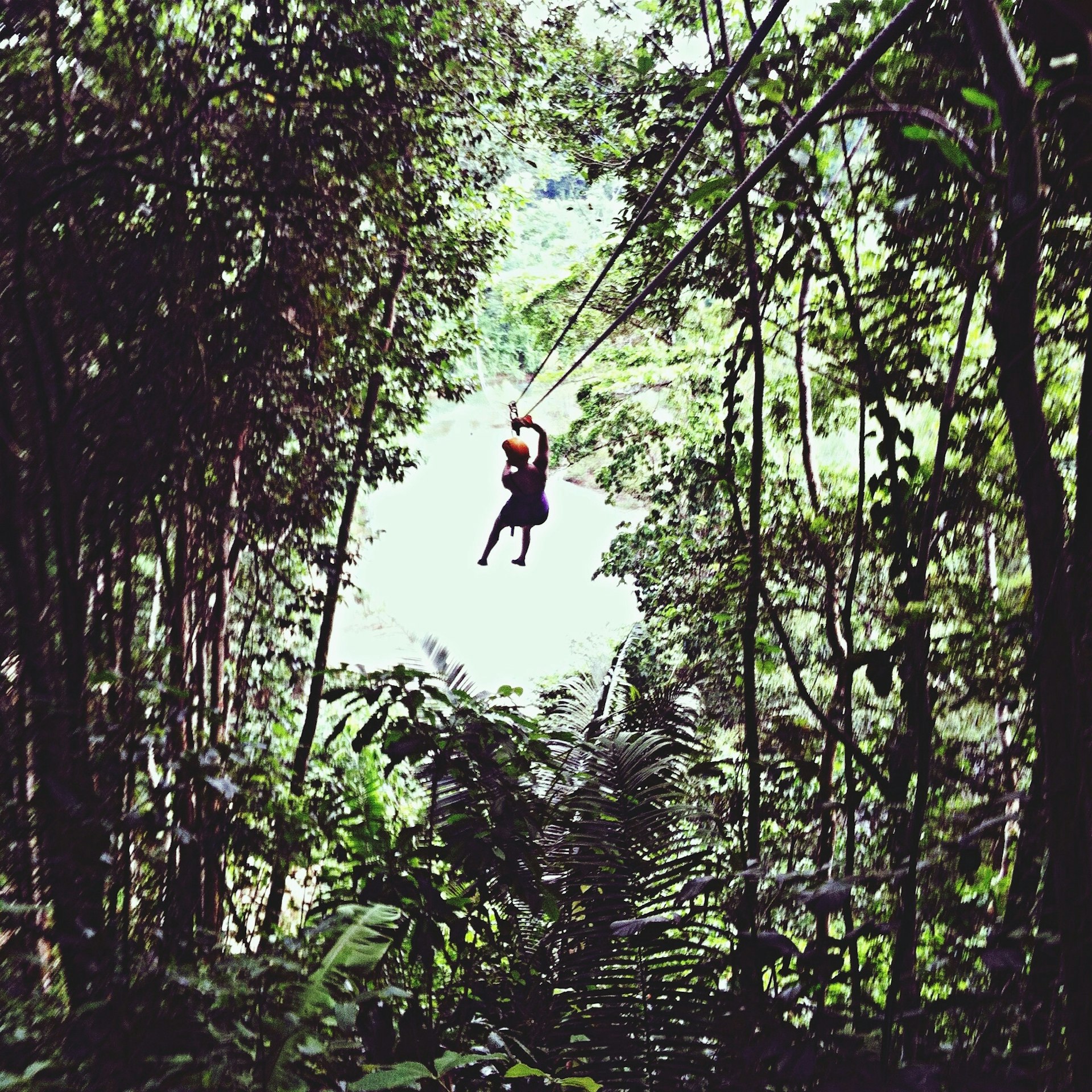 A woman zoom though the tree canopy and out a hole while flying on a zipline.
