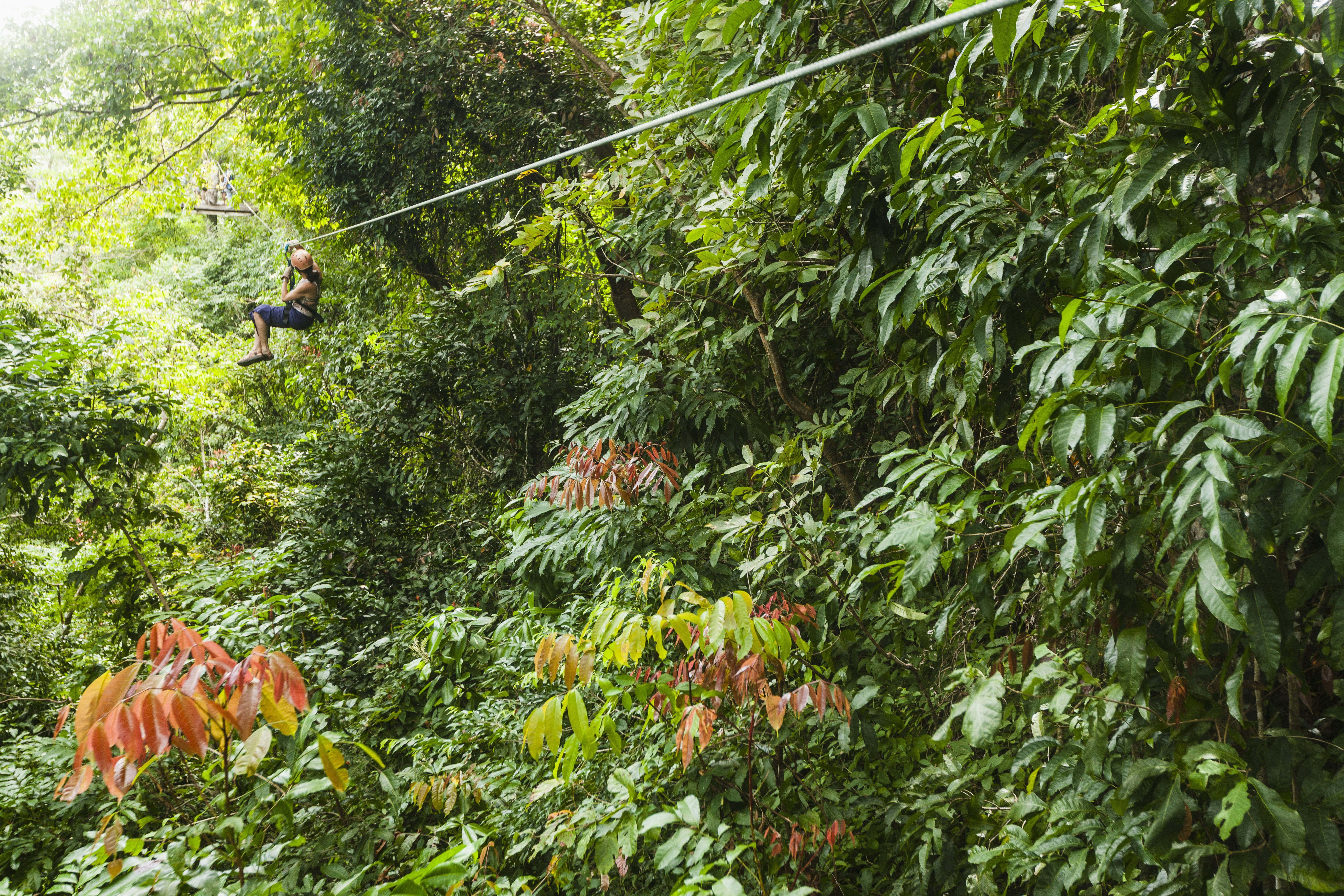 A young lady zooms along a zipline through the forest towards a platform in the distance