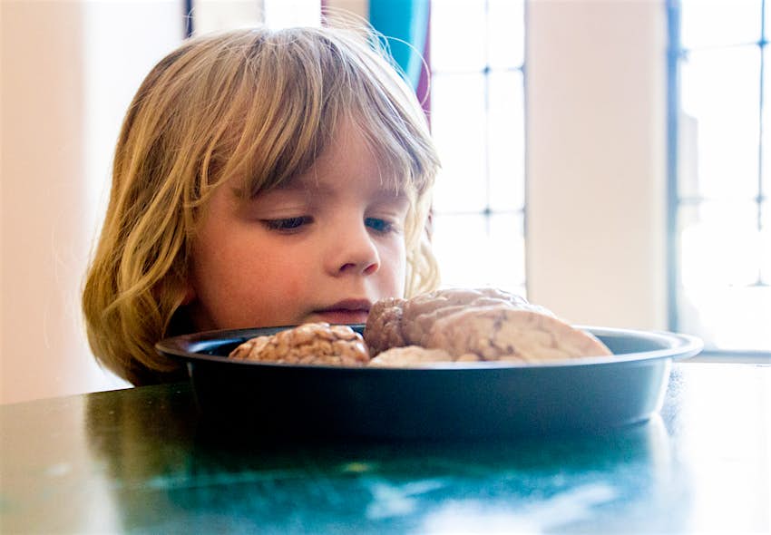Kids Blog - Ed Sci Fest - Martha Warren_1 A child looks at a brain at Edinburgh Science Festival