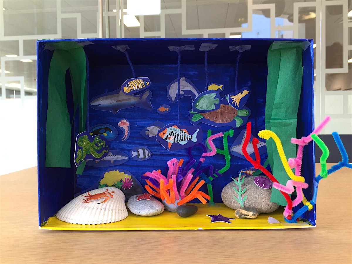 Rainy day activity: make an underwater shoebox scene - Lonely Planet