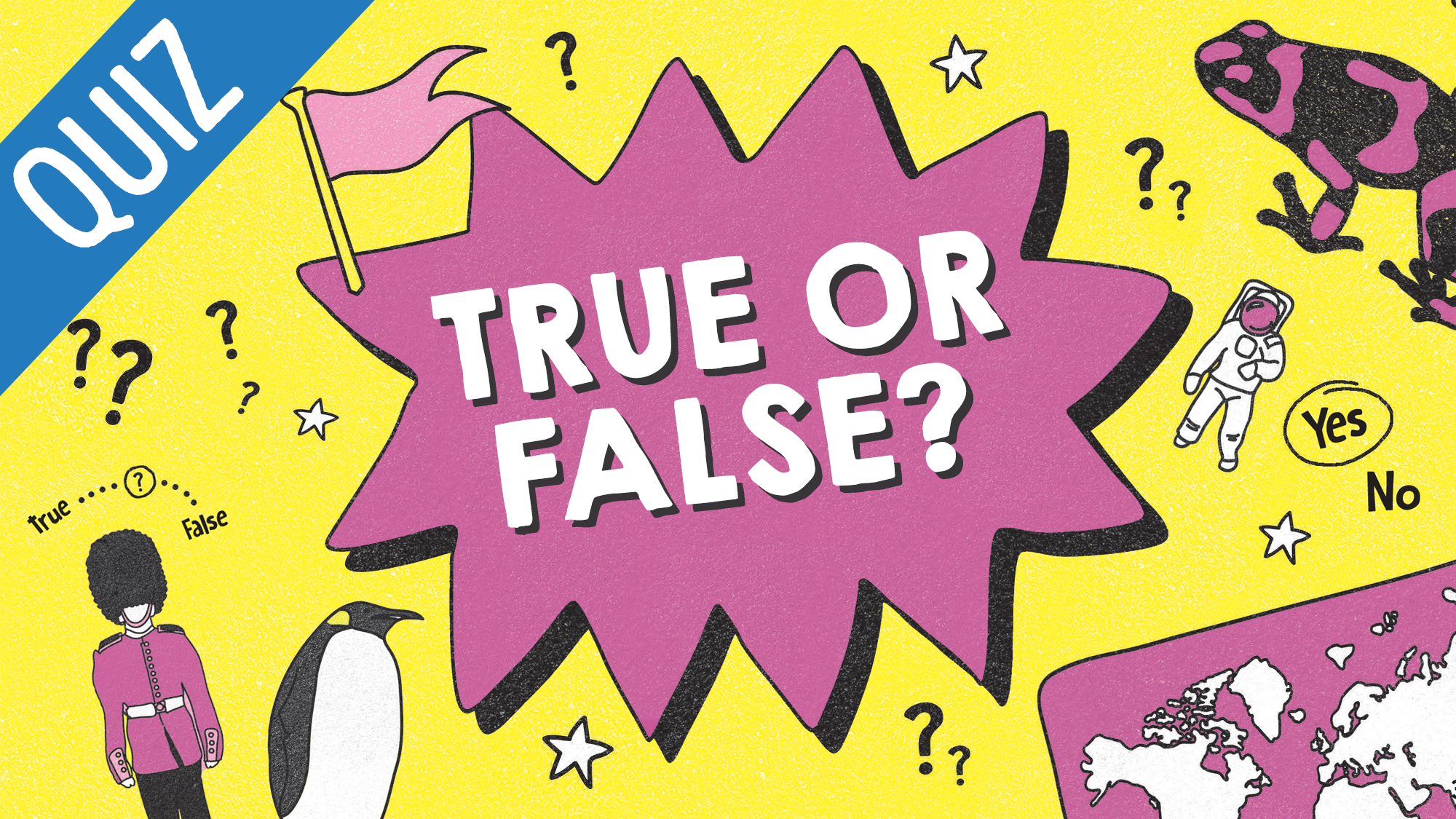 False вопрос. True or false. True or false картинки. True or false Quiz. True or false белый фон.