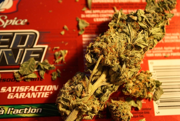 Marijuana buds. Image by Blind Nomad / CC BY 2.0