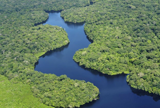 The Amazon rainforest. Image by CIAT / CC BY-SA 2.0