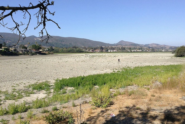 Serious drought in California has prompted cuts to usage of water.