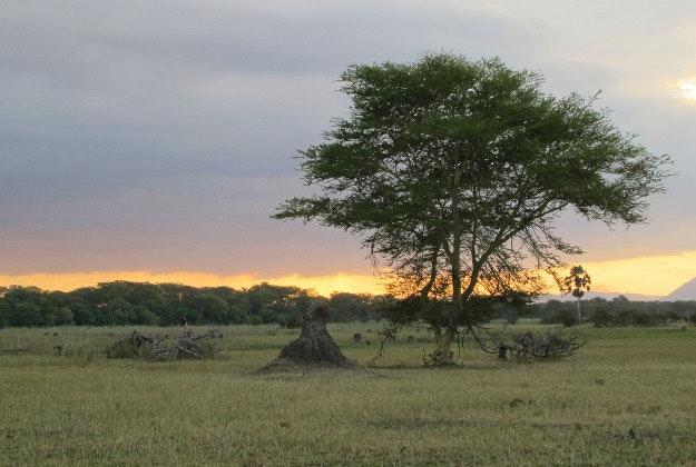 Sunset over Liwonde National Park.