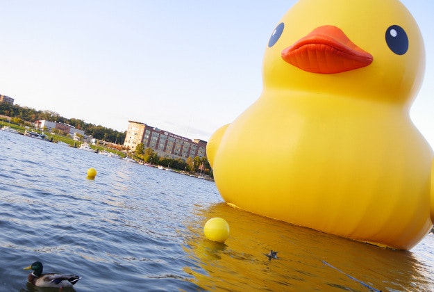 Florentijn Hofman’s giant rubber duck in Pittsburgh.