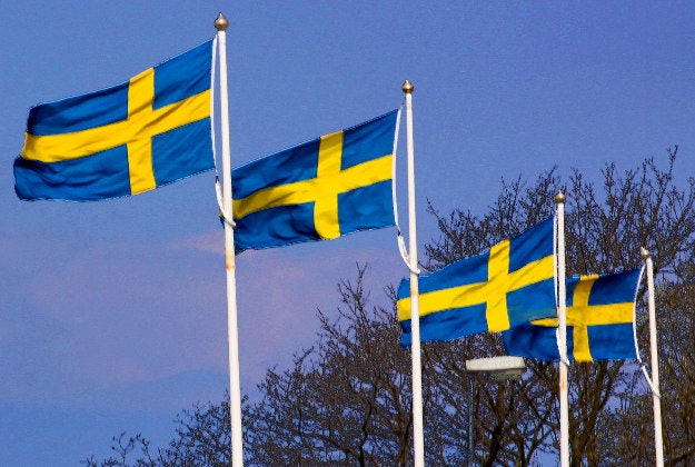 Sweden's royal lookalike.