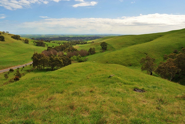 Barrossa Valley.