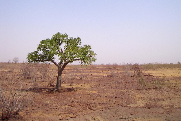 No man's land between Burkina Faso and Mali.