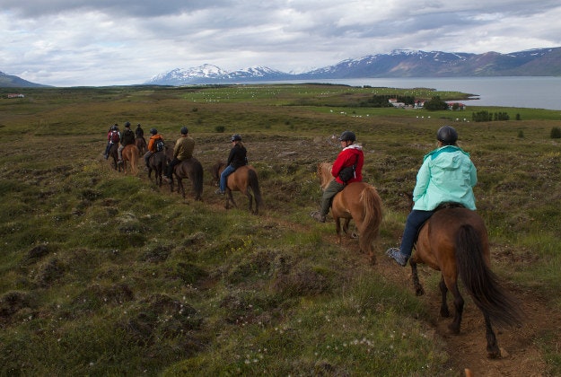 A group treks through Akureyri Iceland on horse back.