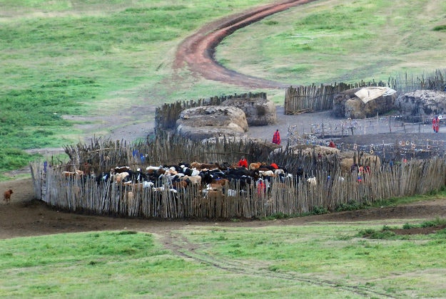 Masaai village in Ngorongoro, Tanzania.