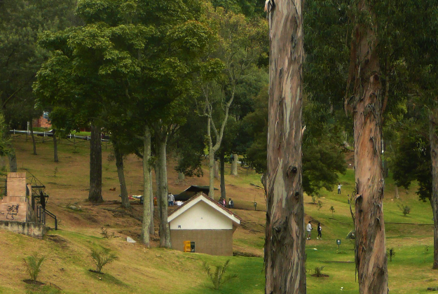 Parque Nacional Bogota where the wedding ceremony took place.